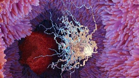 Bacteria 4 Illustrazione stock