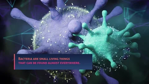 Bacteria for After Effects Stock After Effects