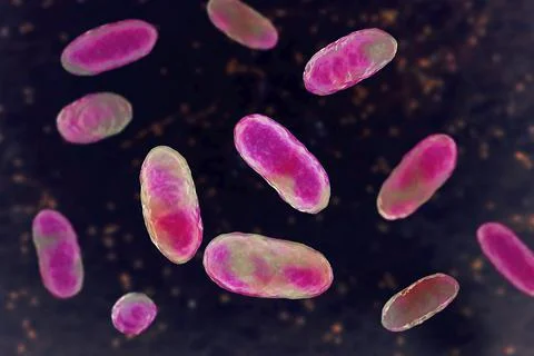 Bacteria Aggregatibacter, illustration Stock Illustration
