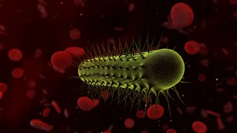 Bacteria and Bacterium cell science healthcare render Stock Footage 113774056