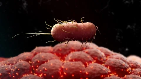 Bacteria and Cell Stock Footage 265030198