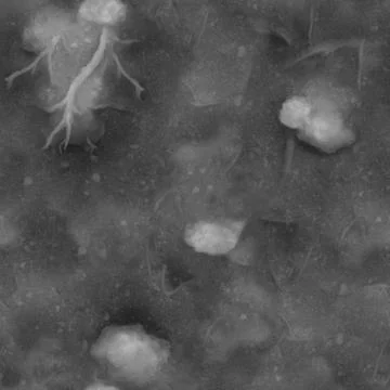 Bacteria and germs causing various diseases of a man under a strong Stock Photos