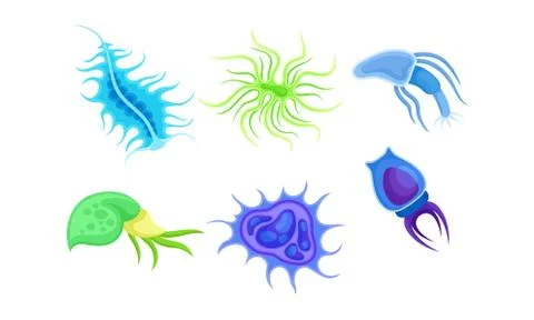 Bacteria and Germs of Different Shapes Isolated on White Background Vector Set Stock Illustration