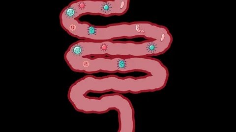 Bacteria and Germs Moving Through the Intestines. Flat design animation foc.. Stock Footage 304779686