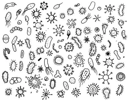 Bacteria and microbes, pathogenic micro-organisms, various types of bacteria Stock Illustration