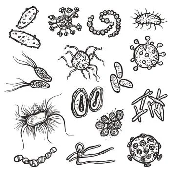 Bacteria And Virus Cell Stock Illustration