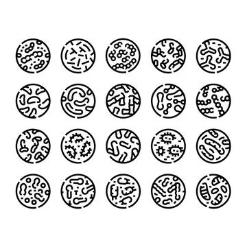 Bacteria and virus microbial organisms researching science icons Stock Illustration