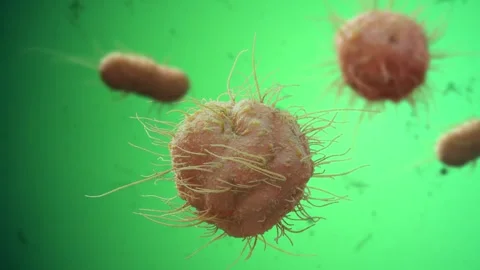 Bacteria And Virus Toxic Environment Video stock 265030278