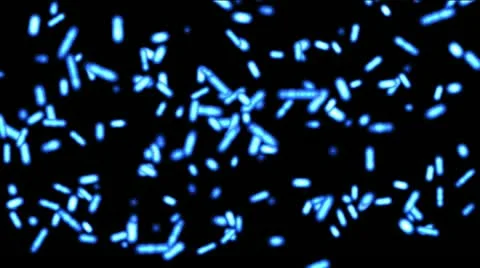 Bacteria animation background with microbes in blue Stock-Footage 10804536