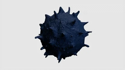 Bacteria  animation Stock-Footage 237984967