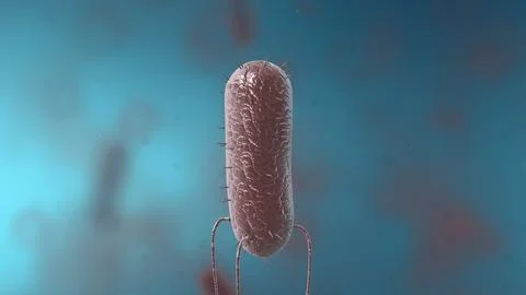 Bacteria are a simple form of life known as prokaryotes. 스톡 일러스트