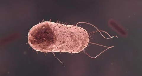 Bacteria are small single celled organisms. Stock Illustration