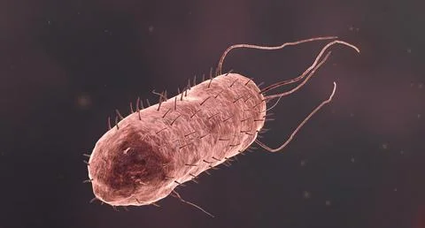 Bacteria are small single celled organisms. Stock Illustration