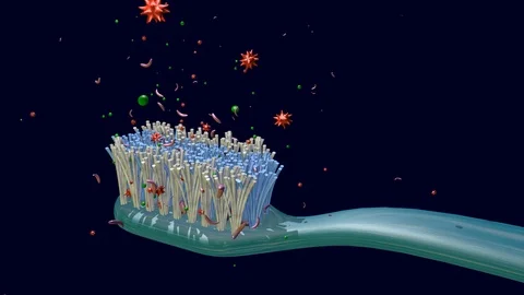 Bacteria on, around toothbrush. Camera orbits scene Video stock 86671011