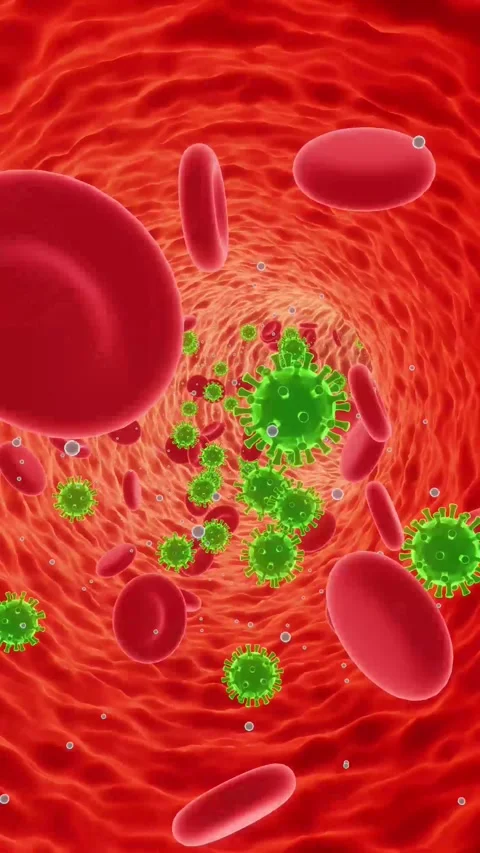 Bacteria Attacking Blood Cells in Bloodstream | Portrait 3D Animation Stock Footage 337860226