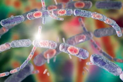 Bacteria Bacillus anthracis Stock Illustration