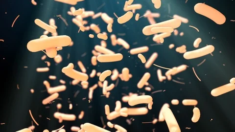 Bacteria Bacterium cell electron microscope close-up Stock Footage 114259683