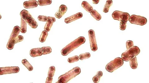 Bacteria Bacteroides, 3D illustration Stock Illustration