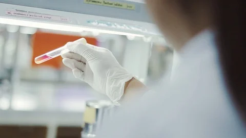Bacteria In biochemistry Test Tube	 Stock Footage 130122105