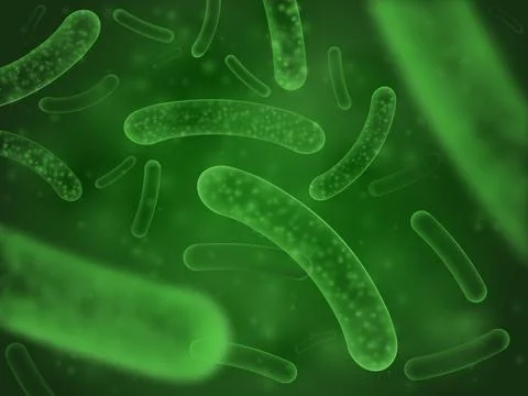 Bacteria biological concept. Micro probiotic lactobacillus green scientific.. Stock Illustration
