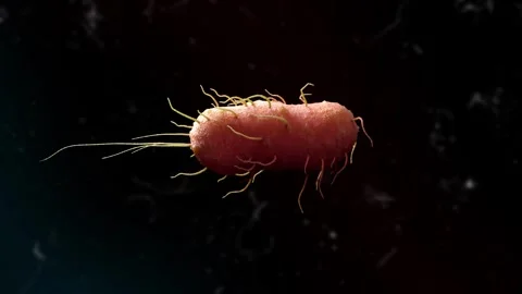 Bacteria on Black Background 3D Animation Video stock 265030390