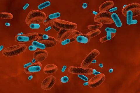 Bacteria in blood, bacteriemia Stock Illustration