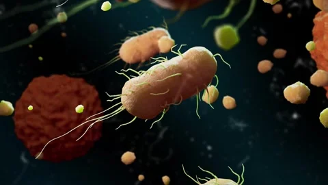 Bacteria Blood Dark Background 3D Animaton Stock Footage 265030305