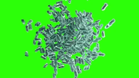 Bacteria Breed on a Green Background Video stock 88340216