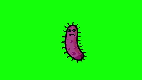 Bacteria cartoon animation on green screen Stock Footage 345348092