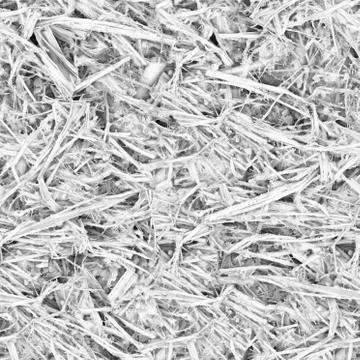 Bacteria causing human disease under a strong magnification of the microscope Stock Photos