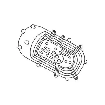 Bacteria cell anatomy Illustrazione stock