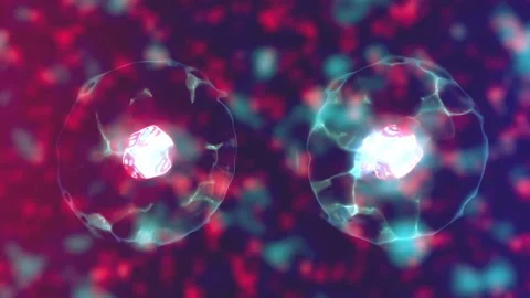 Bacteria cell division Stock Footage 166460594