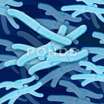Bacteria cell grouping Stock Illustration