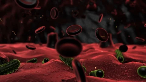 Bacteria cell outbreak causing infection and inflammation Stock Footage 113774524