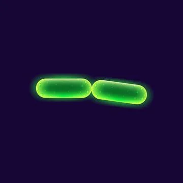 Bacteria cell realistic vector illustration Stock Illustration
