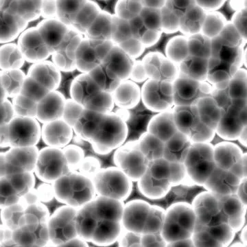 Bacteria cells close up Stock Illustration