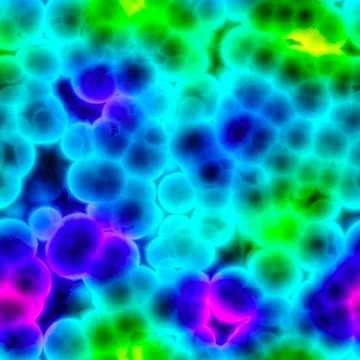 Bacteria cells close up 스톡 일러스트