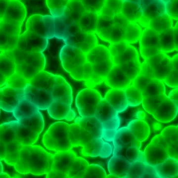 Bacteria cells close up Stock Illustration