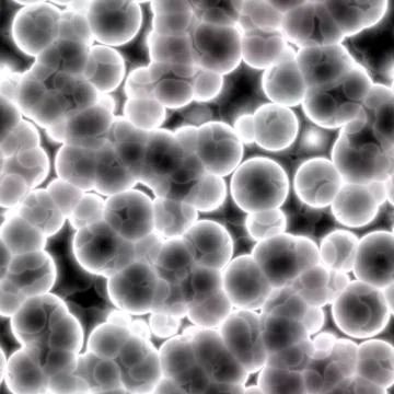 Bacteria cells close up Stock-Illustration