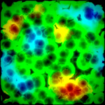 Bacteria cells close up Stock Illustration