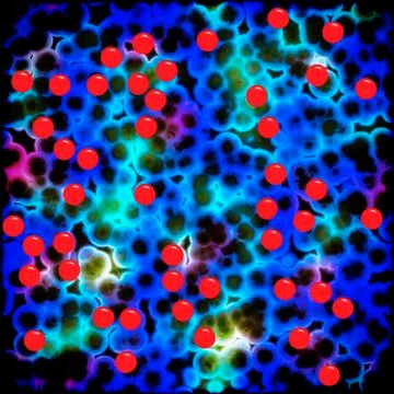 Bacteria cells close up Stock Illustration