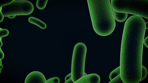 Bacteria cells Stock Footage 66234009