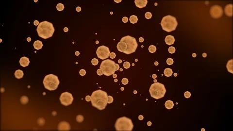 Bacteria Cells Microscope Live 3D Flying Stock Footage 97991955