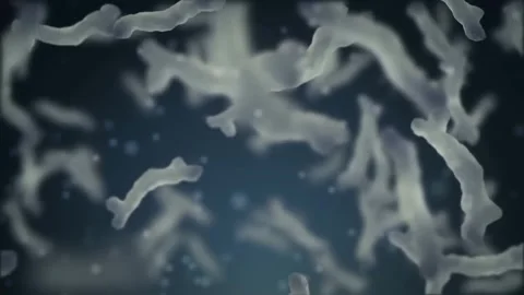 Bacteria cells moving through a fluid environment. Stock Footage 341917521