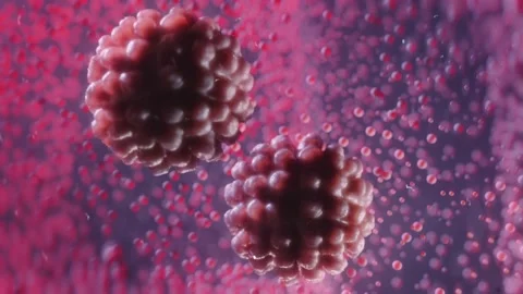 Bacteria cells or virus with tiny molecules in the background. Medical Stock Footage 135188684