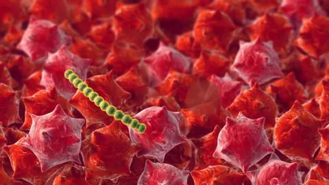 Bacteria cells, science Illustrazione stock