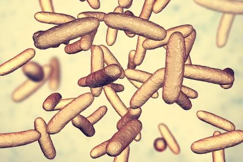 Bacteria Citrobacter, Gram-negative coliform bacteria in the family Enterobac Illustrazione stock