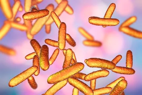 Bacteria Citrobacter, Gram-negative coliform bacteria in the family Enterobac Stock Illustration