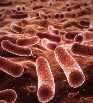 Bacteria close-up Stock Photos