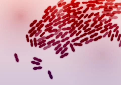 Bacteria Colony - Vector Illustration Stock Illustration